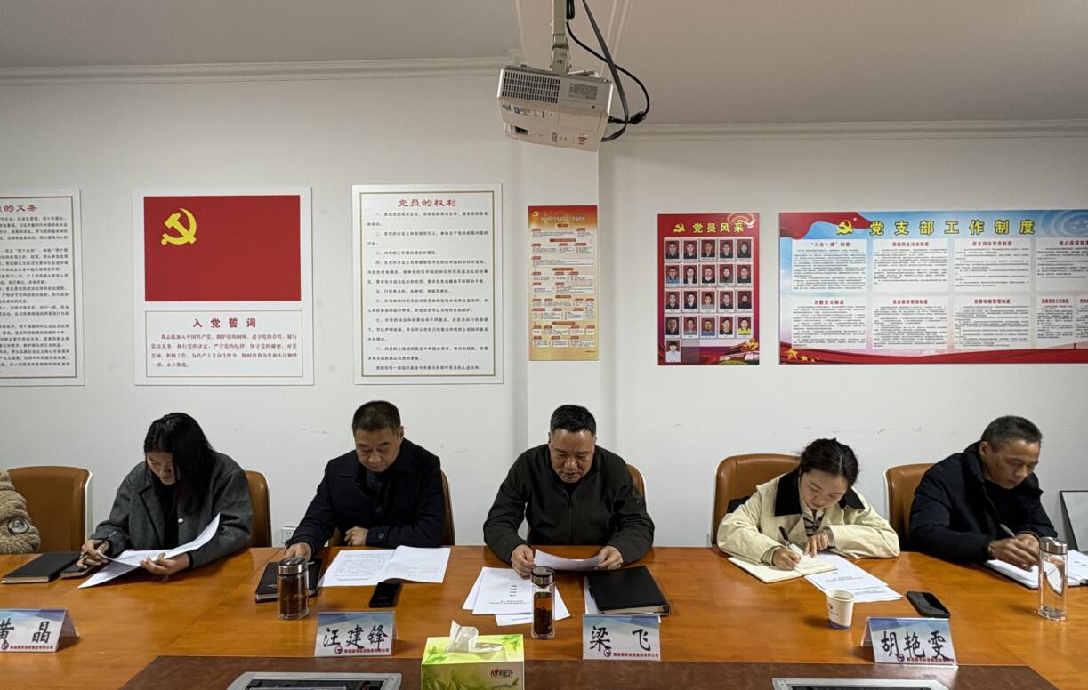 國(guó)投集團(tuán)黨委召開2024年度黨支部書記 抓基層黨建工作述職評(píng)議會(huì)